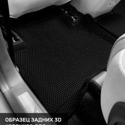 Левый пассажир