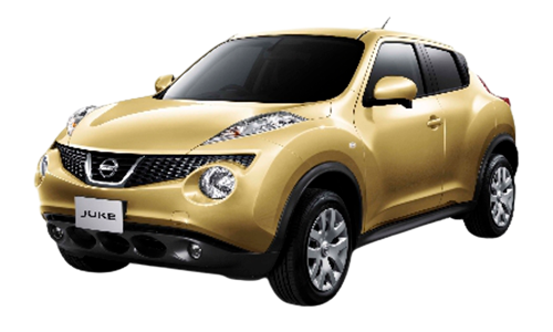 3D коврики EVA с бортами в салон на Nissan Juke (2010-2019)