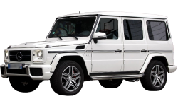 2D коврики EVA в салон  на Mercedes-Benz G W463 рестайлинг 3, 5-дверный (2012-2015)