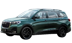 2D коврики EVA в салон и багажник  на SWM G05 Pro FWD 7 мест (2021-н.в.)